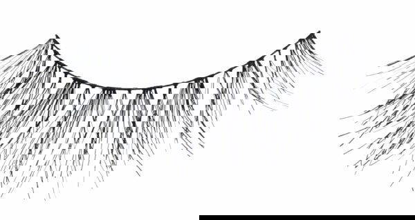 Naturalash  Texture lash