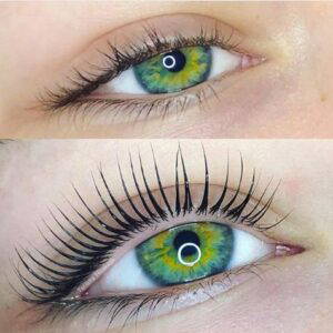 Beauty Courses