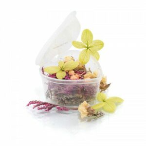 CJP Dried Flowers - Heart Tub